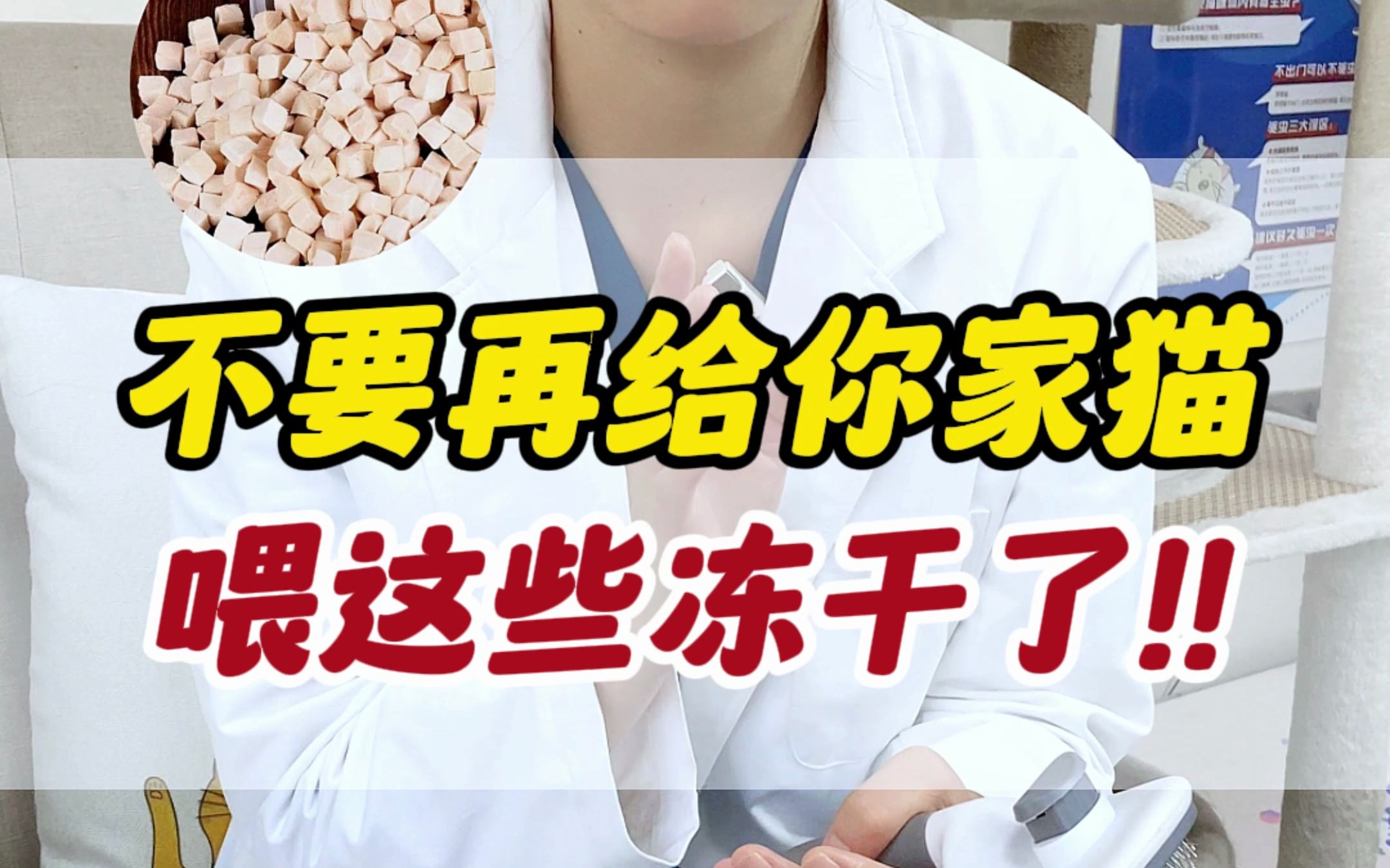 冻干避雷，不要再给你家猫喂这些冻干了