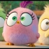 【愤怒的小鸟】超可爱治愈系动画片，三只小鸟踏上寻蛋之旅，看完心都萌化啦
