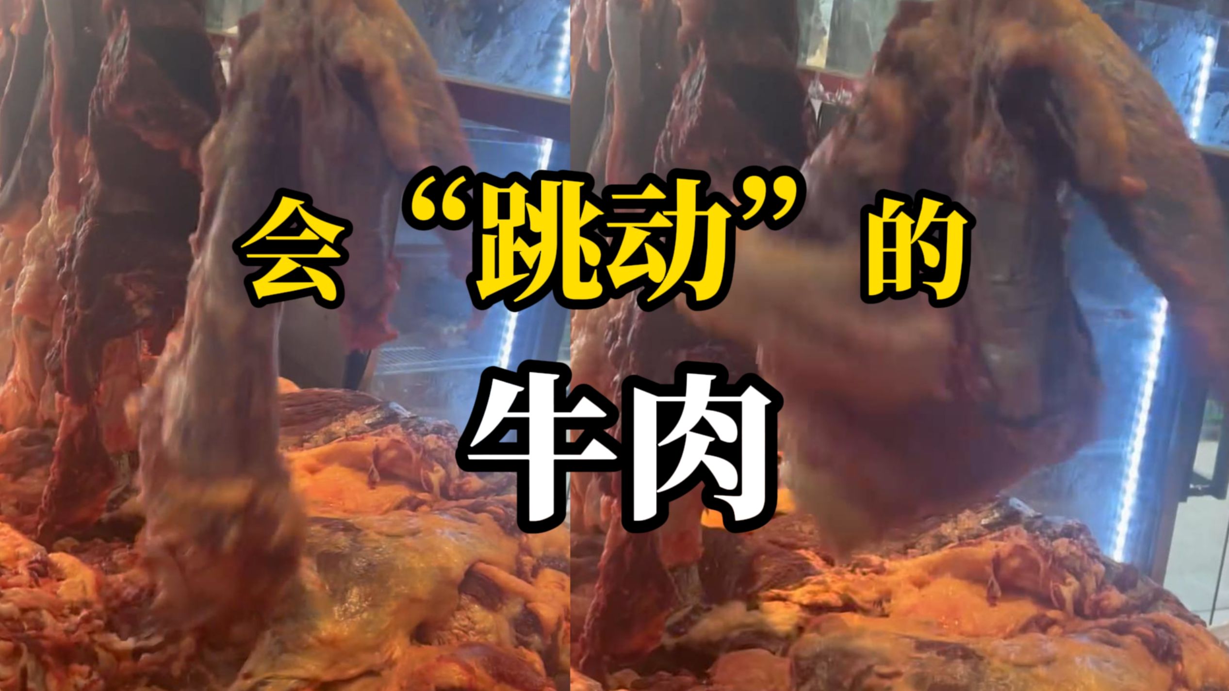新鲜屠宰切出的牛肉，挂上货架还在猛烈“跳动”