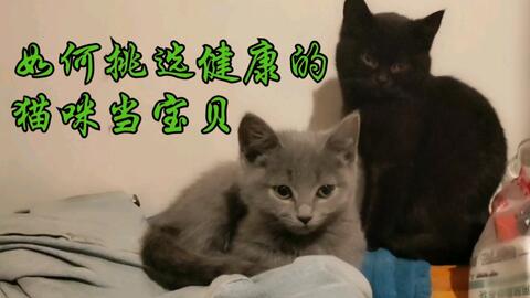 ffff119d38de1866b342eb2cb5b70306bc959932.jpg@480w_270h_1c