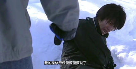 从照片到嘴臭,爆火大全高清的玩梗史背后表情经典狗的图片搞笑图片
