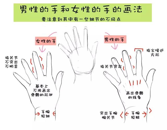 「绘画教程」如何区分男性和女性的手?(人体教程)