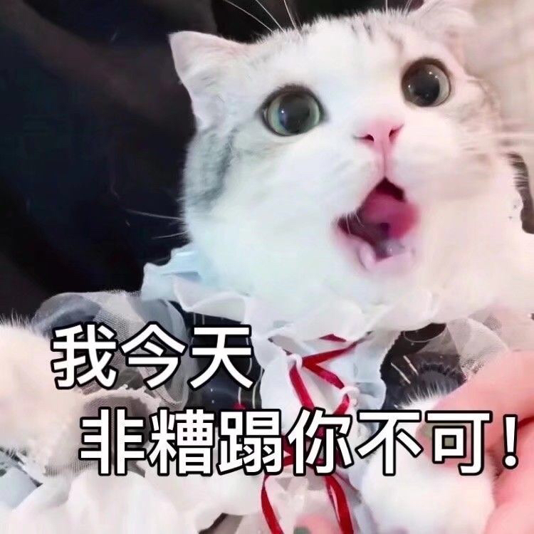 屯一下表情包