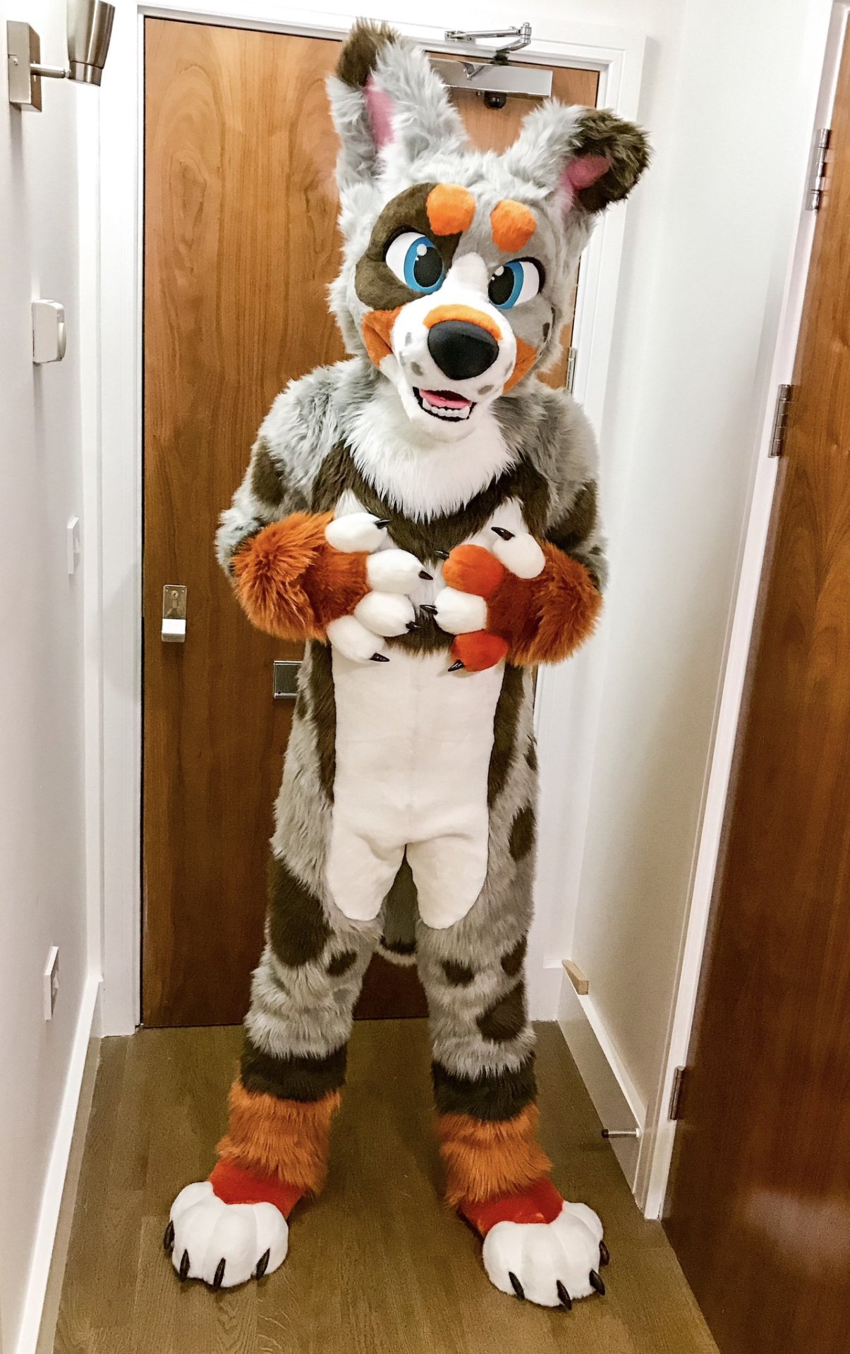美系fursuit图集一