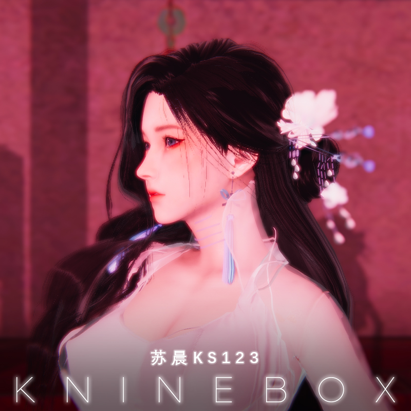 本ai少女hs2捏脸数据人物卡mod由kninebox在游戏内原创设计