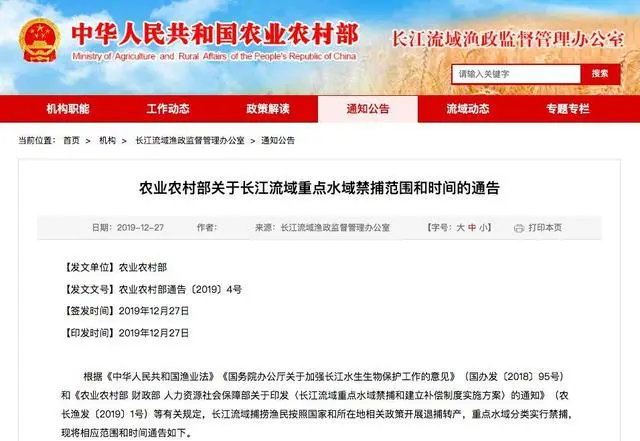 物种灭绝,长江“无鱼”,人类究竟要给地球动物带来多少伤害