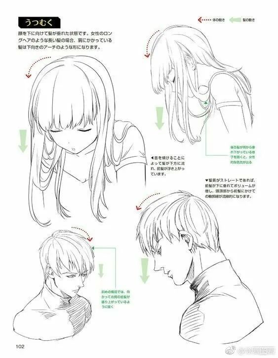【绘画素材】500p二次元漫画人物头发参考素材,不同角度/风格/发