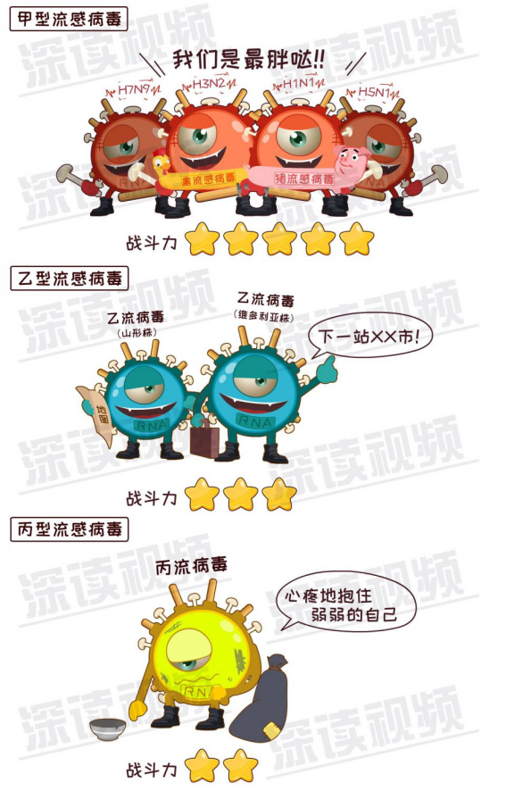 ，乙型，丙型三种流感病毒，也就是人们常说的甲流，乙流和丙流的元凶。