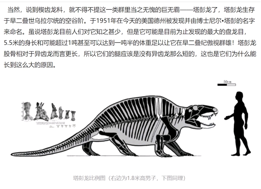 可能有些地洞了  这里配图配错了,这张图上面两只其实都是楔齿龙属