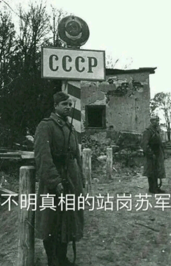 关于苏维埃的表情包#11