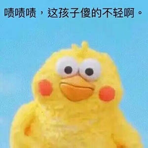 这是一个放送【表情包】的专栏7「脆皮鹦鹉」
