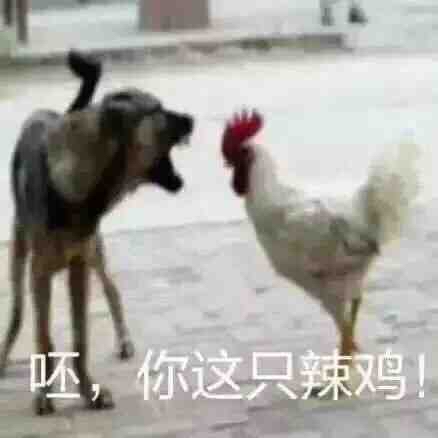 02c82cc4baaa9fc5128f49e2d7b7155f44726fd2.jpg