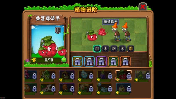 桑椹爆破手