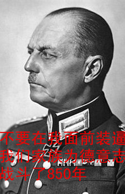 德军表情包第二弹—龙德施泰特元帅