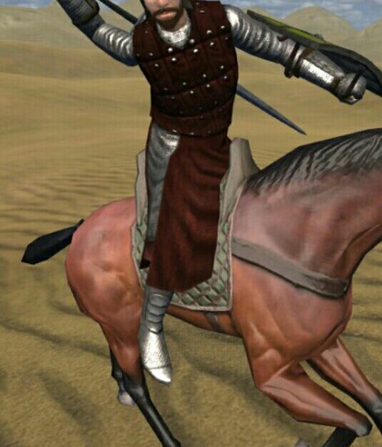 骑马与砍杀中-斯瓦迪亚骑士的形象和文化.