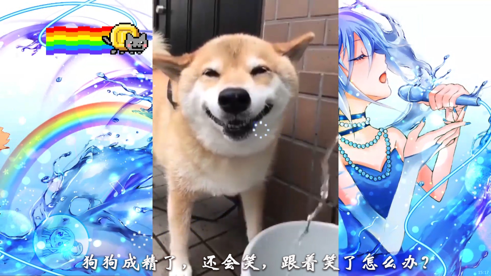 壁纸 动物 狗 狗狗 1920_1080