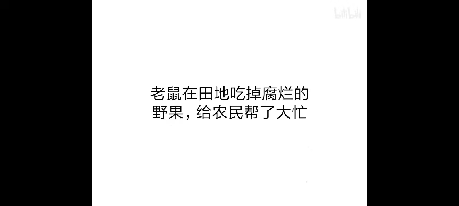 034b311ffe69c3695531f27b64a5ba71e95d1e1f.jpg