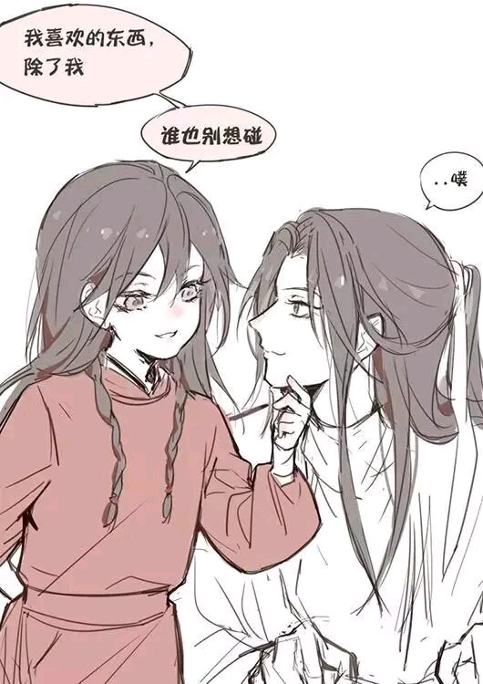 【天官赐福】图集—各类cp