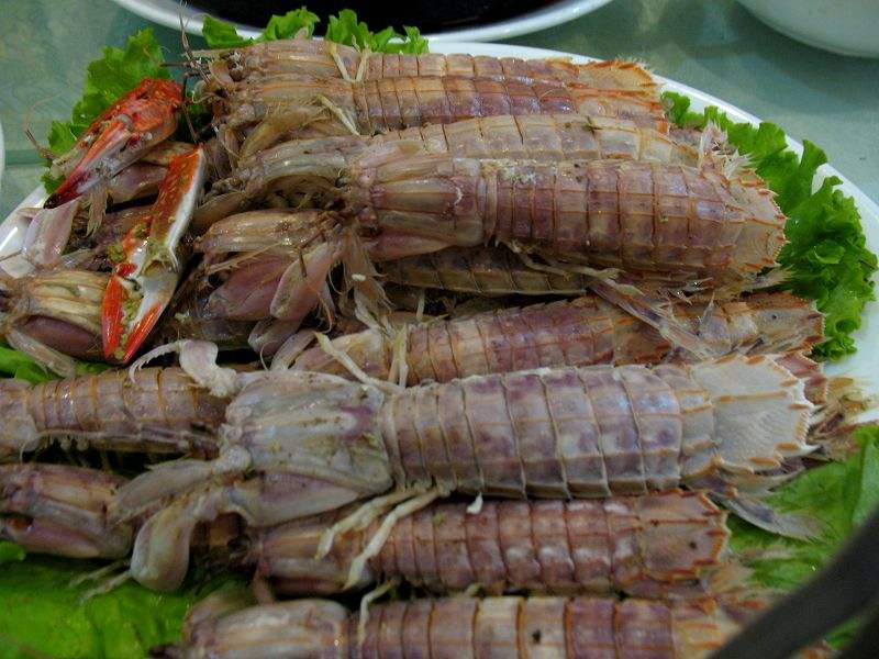 虾爬子