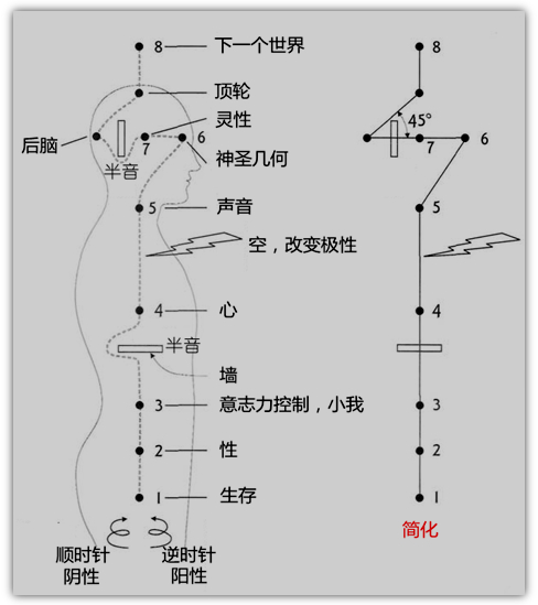 生命之花的古老秘密摘录1埃及的十三脉轮系统