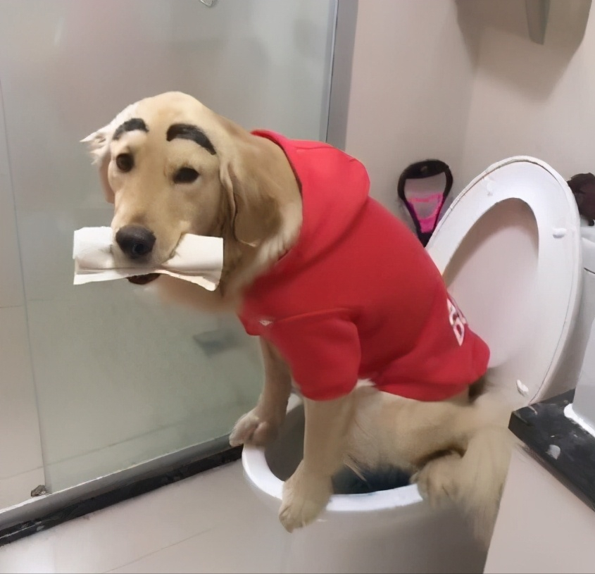 怎么样上厕所不频繁 03e709072da729e317557016eface59ba38b62eb.png