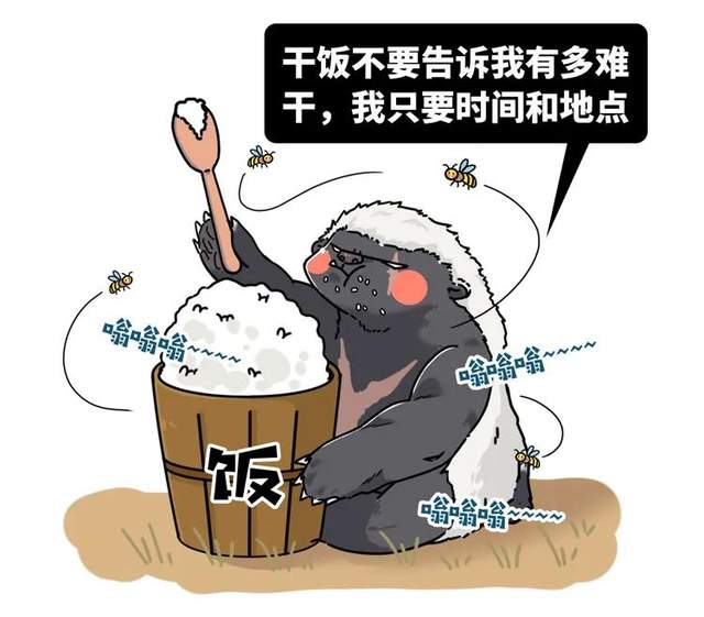 不过蜜獾在意吗?