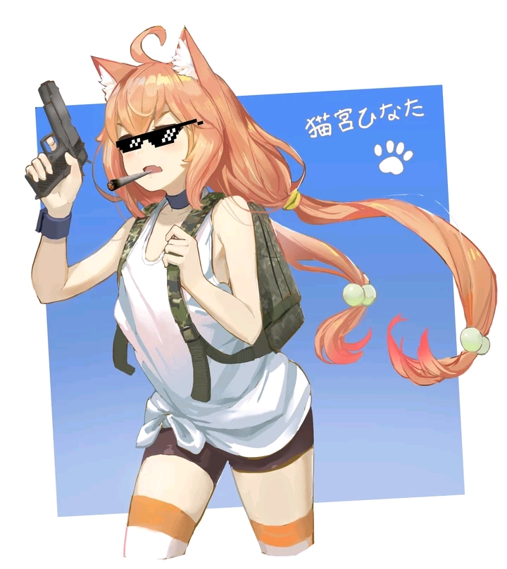 【每日动漫壁纸分享,又一次的awsl】猫宫hinata萌图集