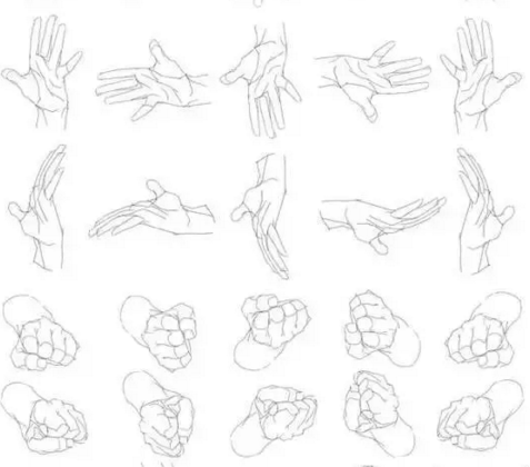 美术生素描半身像手的最全画法步骤和素材,又可以省下一笔钱了