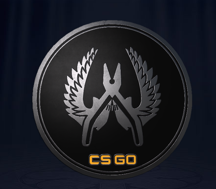 盘点csgo中的那些荣誉展示品第1期