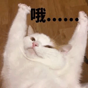 斗图表情包