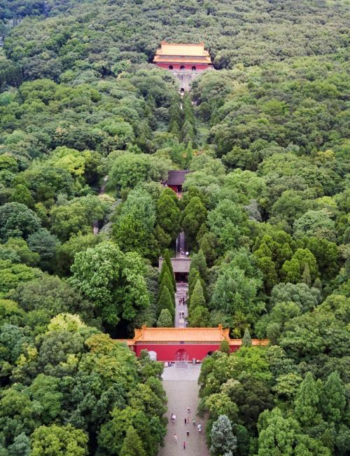 明孝陵游学,用实例解读风景名胜区与秋色植物搭配