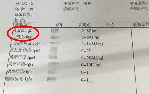 兽医小明建议家里养猫的准妈妈们,一定要去医院做孕妇弓形虫检查(血清