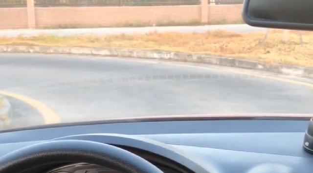 科目二曲线行驶,简单6个步骤,三个点位看好,轻松过关不挂科