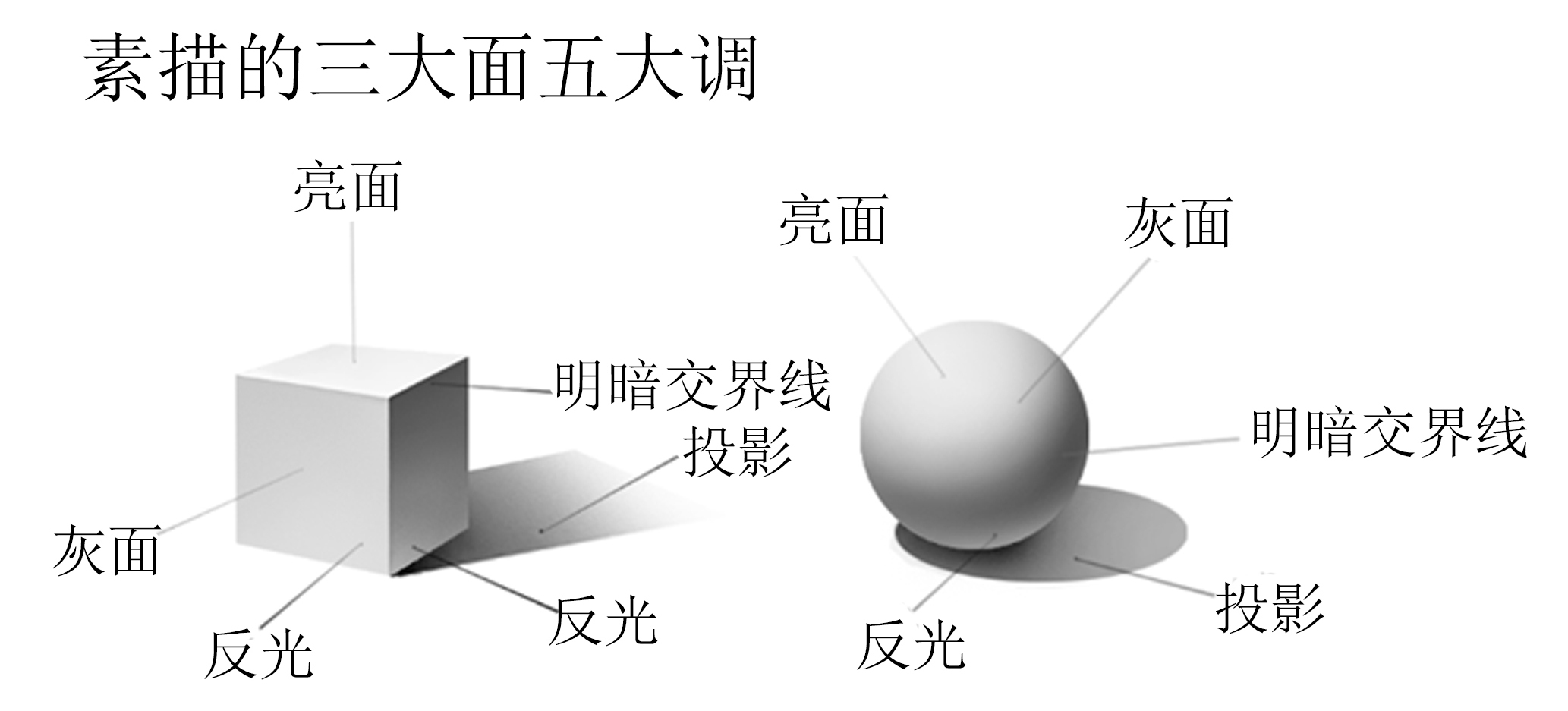 黑白灰调 | 素描调子的基本规律就可归纳为"三大面,五大调子".