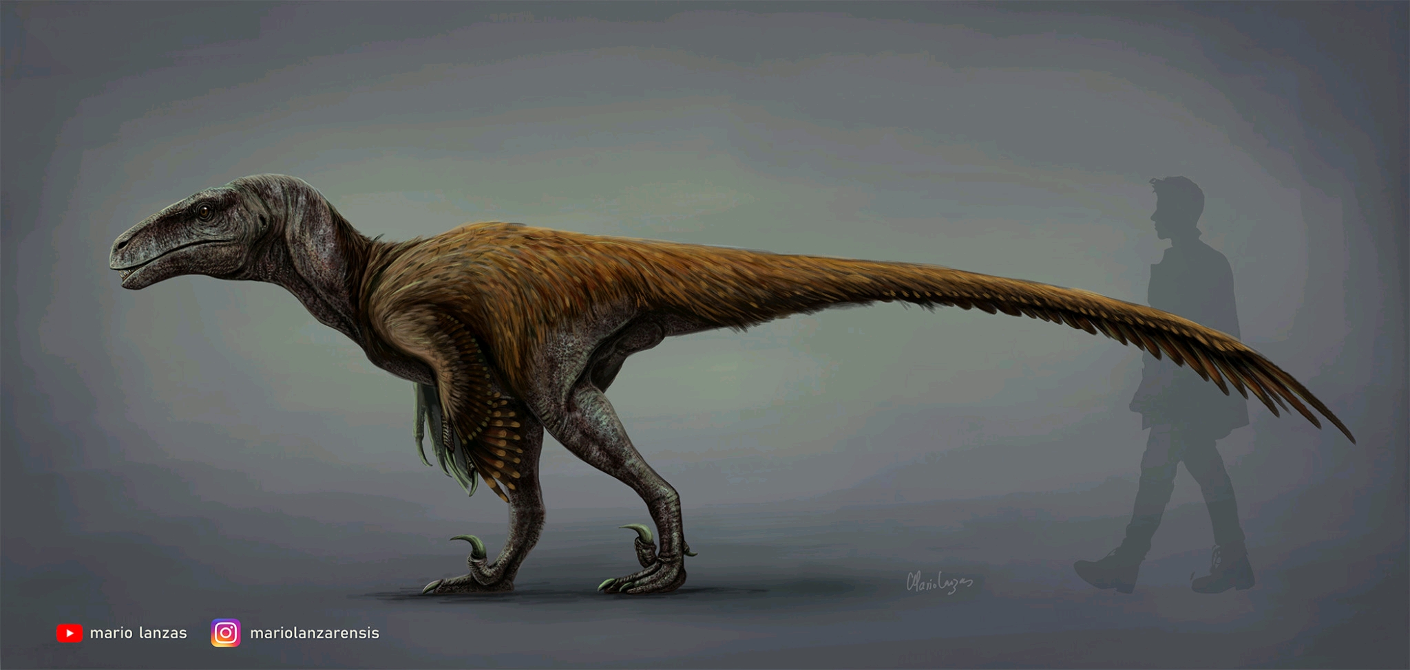 它们是家族里的巨人各类兽脚亚目恐龙中的最大