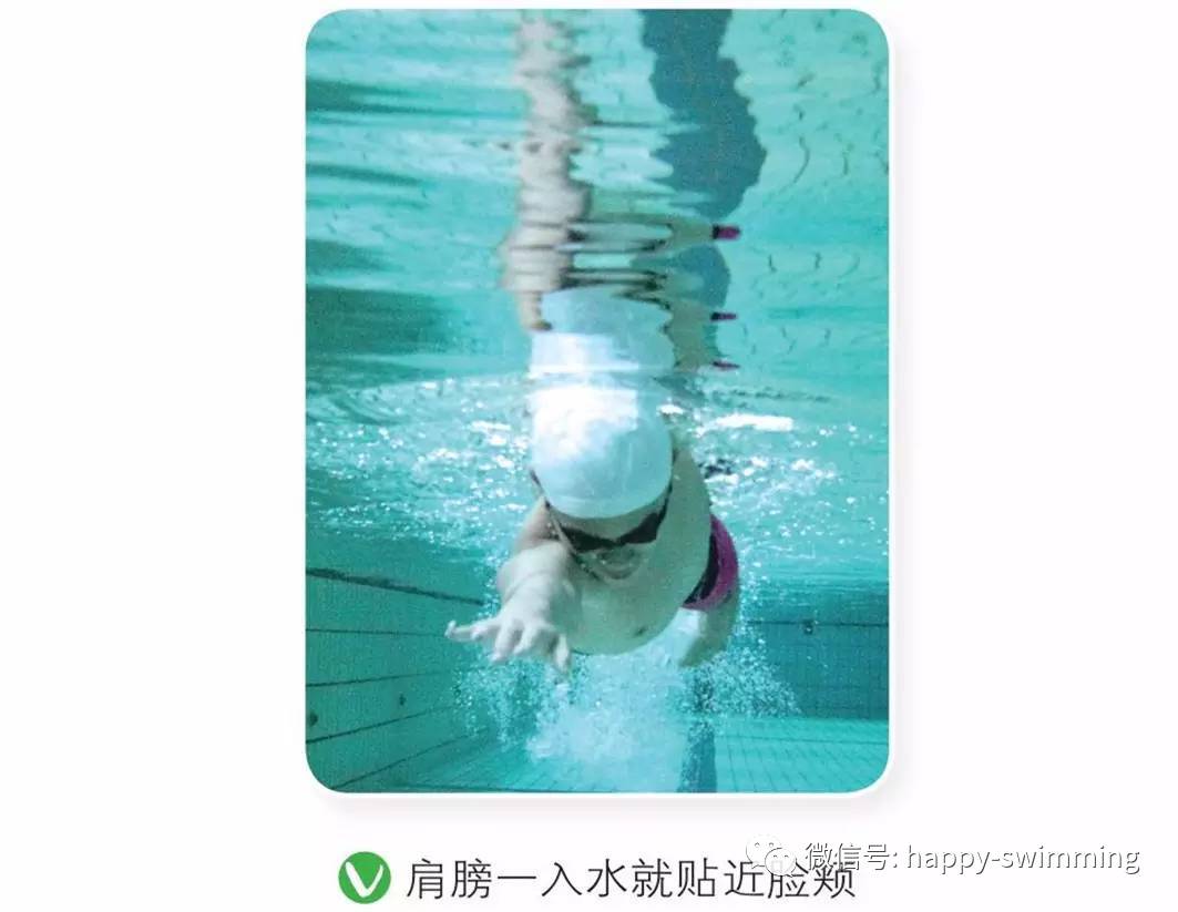 064d555dda63b3e4f804abfc1daa9fcc4404a0d5.jpg