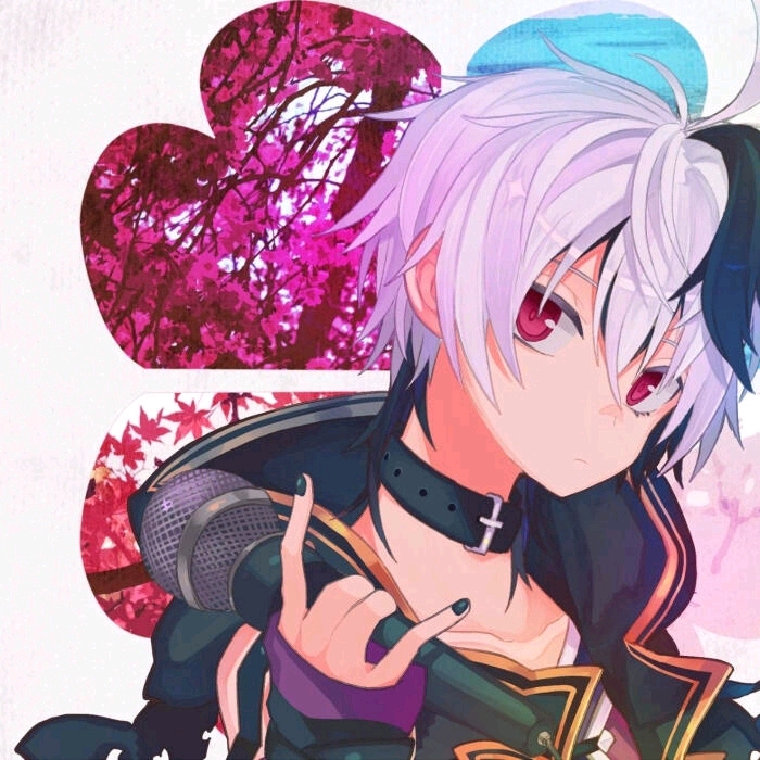 vflower美图分享