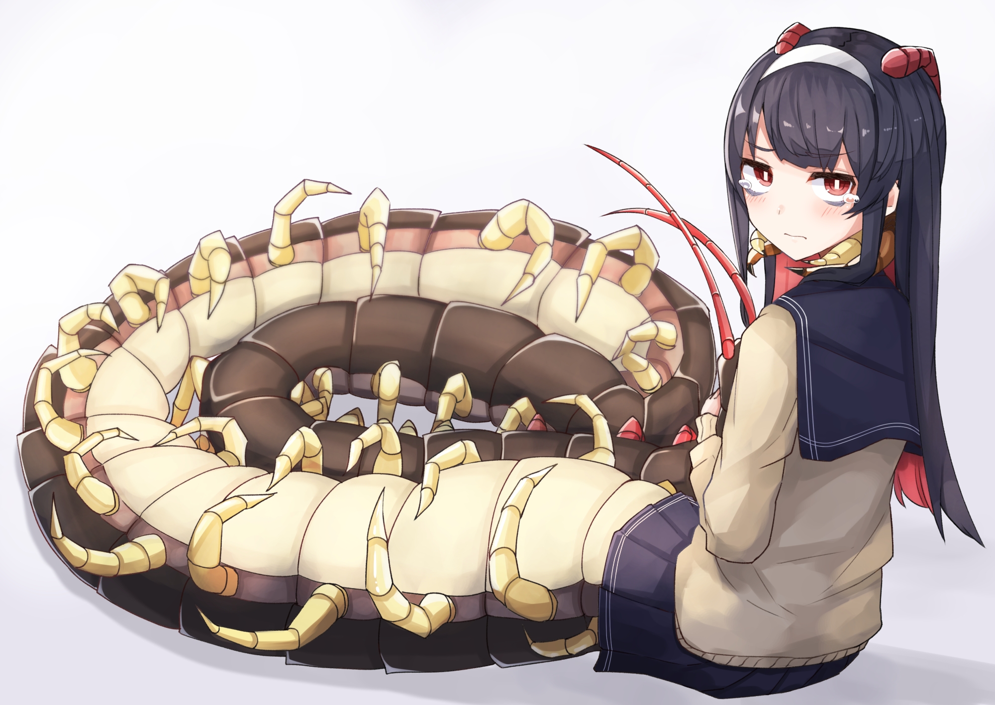 [二 次 元]昆虫娘专区