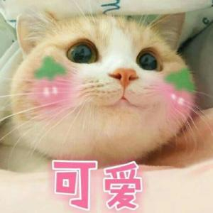 怎么在微信里找表情包 06ea7a43354ea1a6c9d363de50cc9fbc8c26805e.png