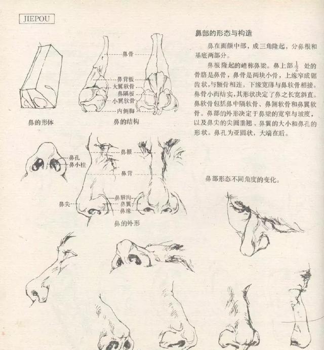 速写干货速写局部素材讲解分析