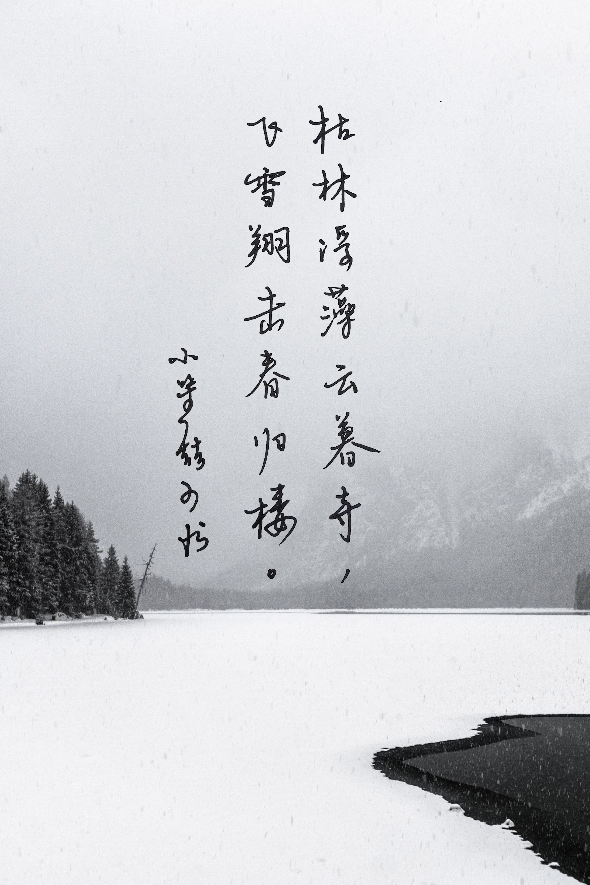 有点想做一个书法博主呢