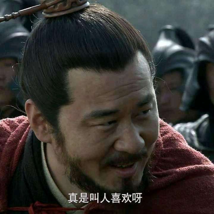 说的对啊,曹贼竟是我自己