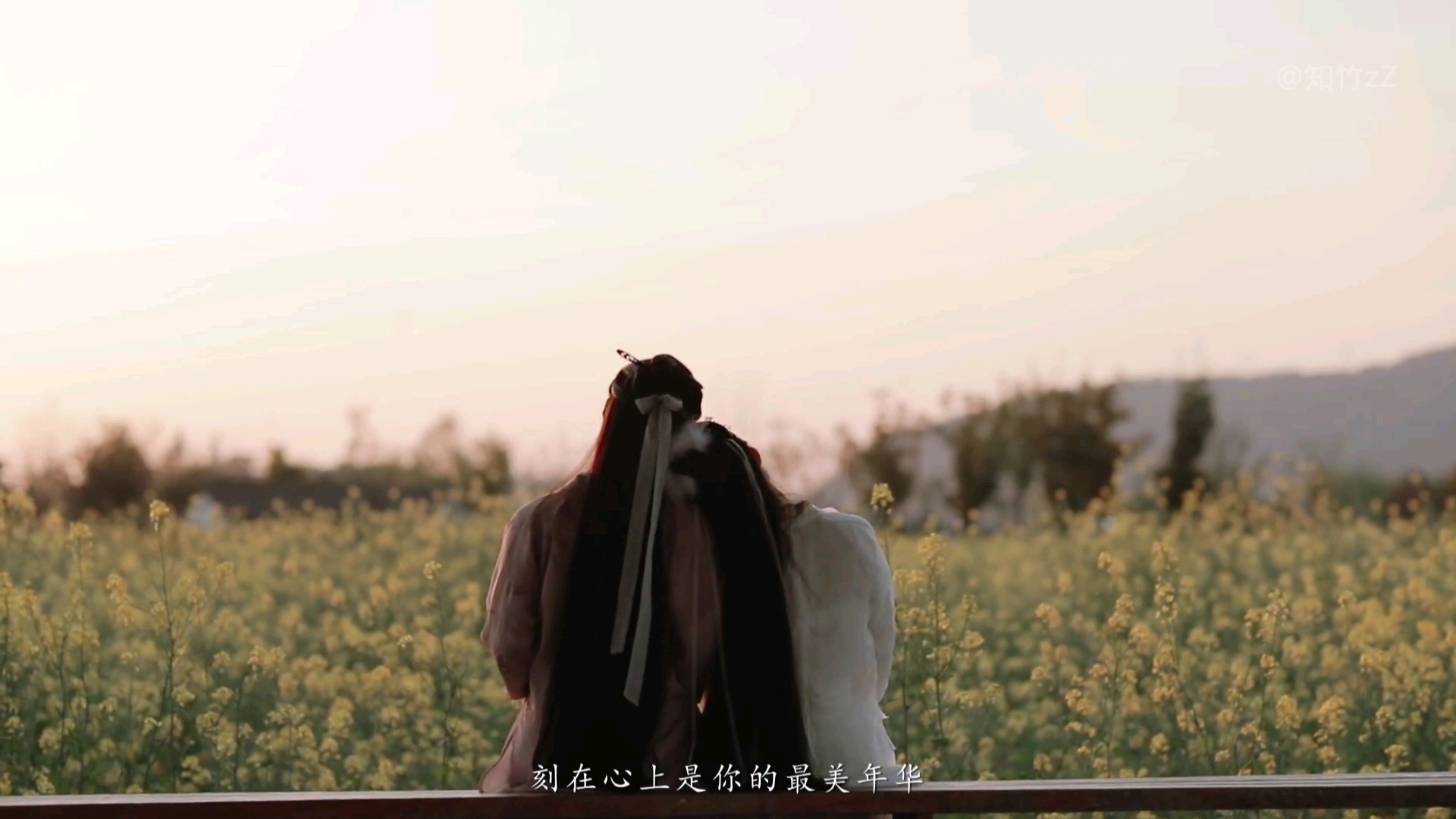 无情画(八)