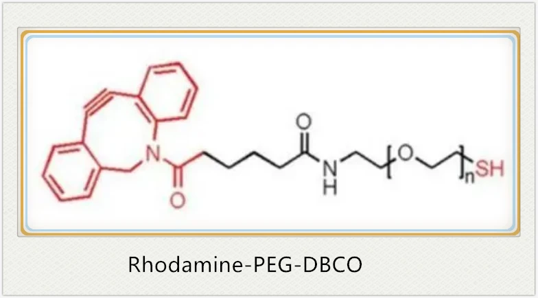 Rhodamine Peg Dbco