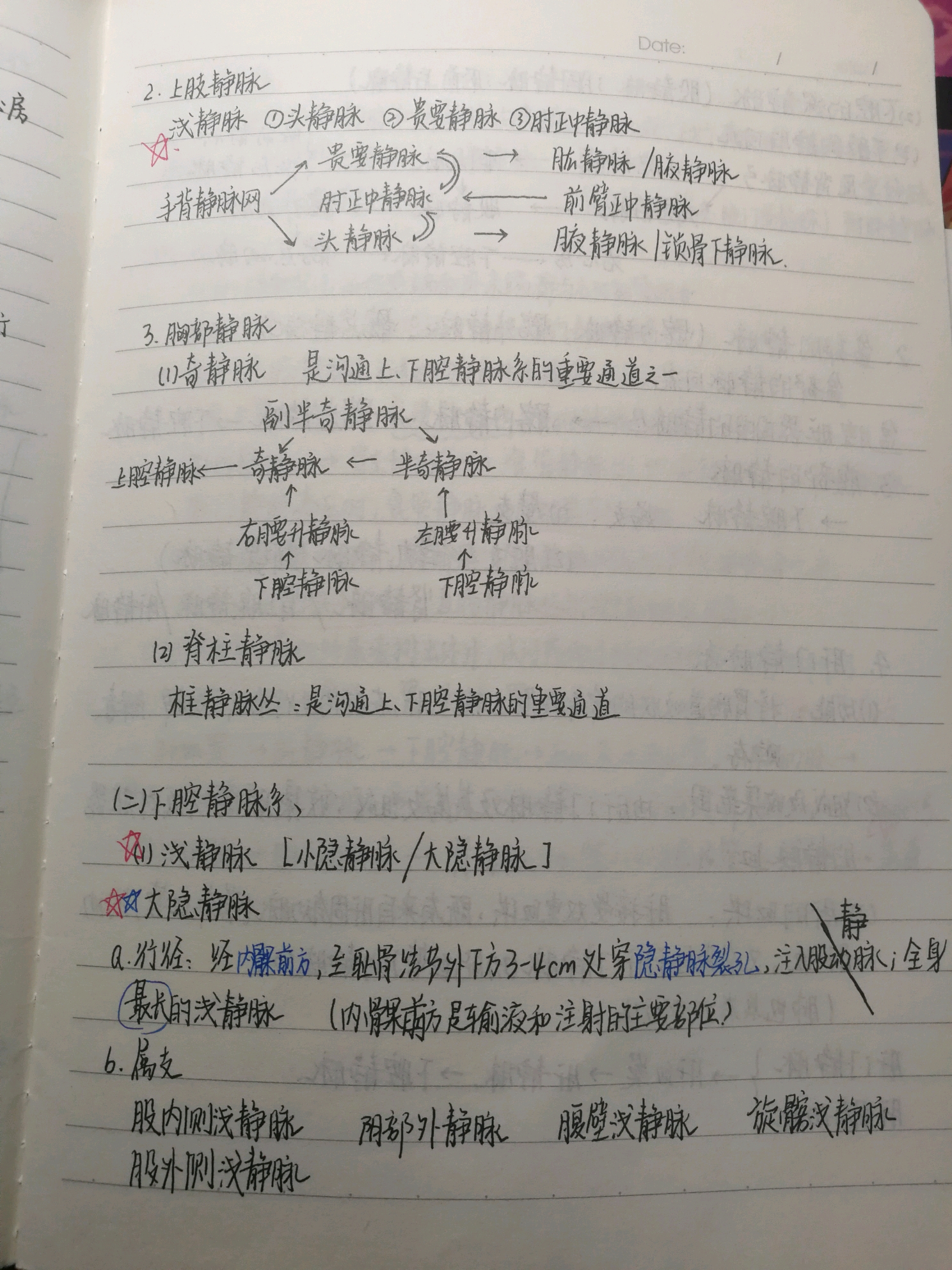 生殖系统,内分泌系统,循环系统,感觉器官和神经系统等),阐述正常人体