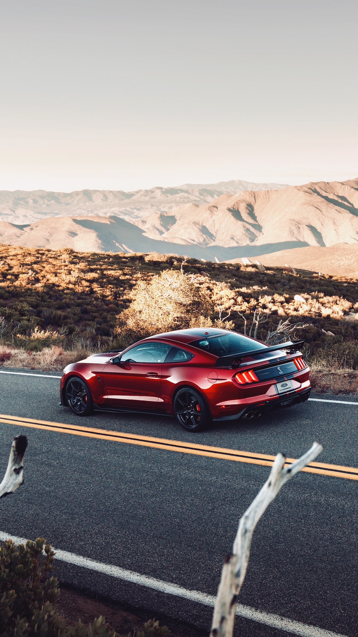 fordmustangshelbygt500