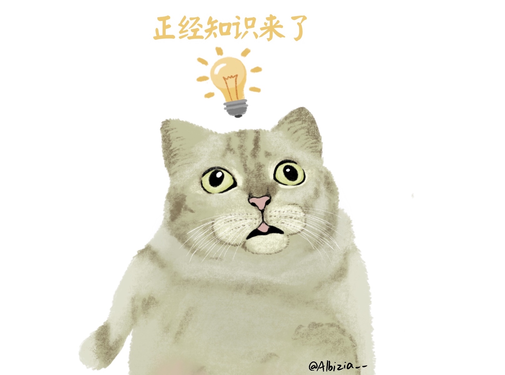 hello大家好我是旋尔,今天给大家介绍几个我们在日常生活中特别容易