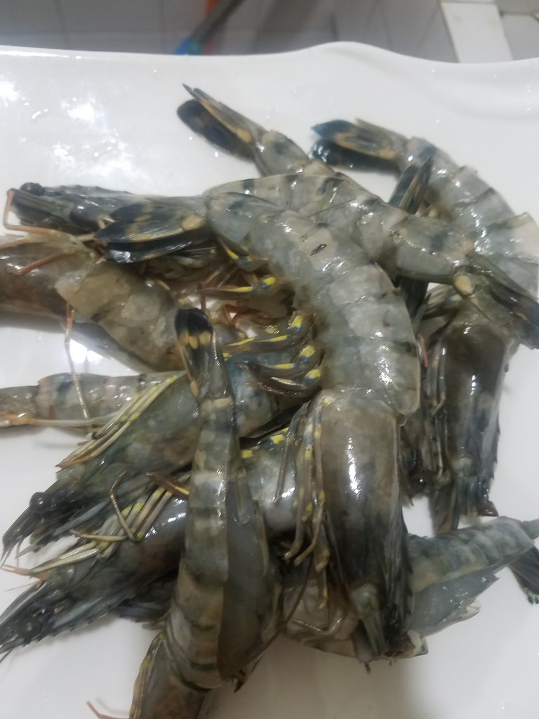 准备材料 黑虎虾(其他红虾大对虾甚至龙虾都可以) 黑胡椒碎或粉  盐