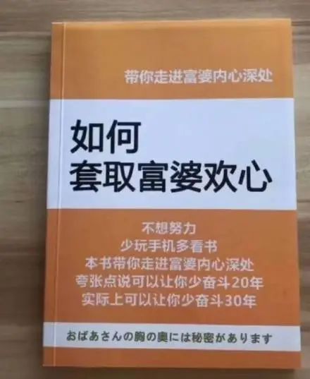 表情包 富婆系列