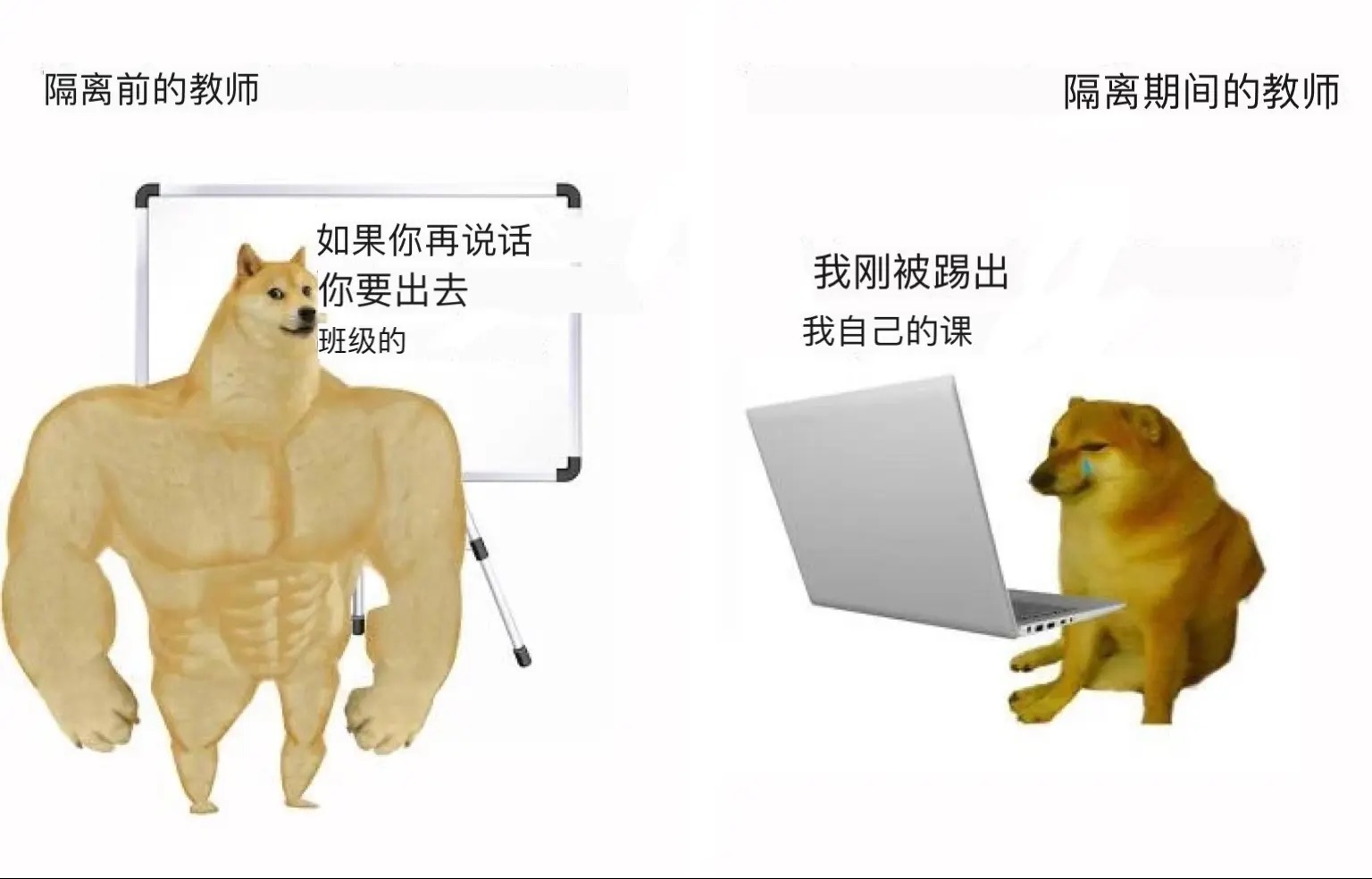 cheems/doge合集【2|正常人用的表情包(含对比图)